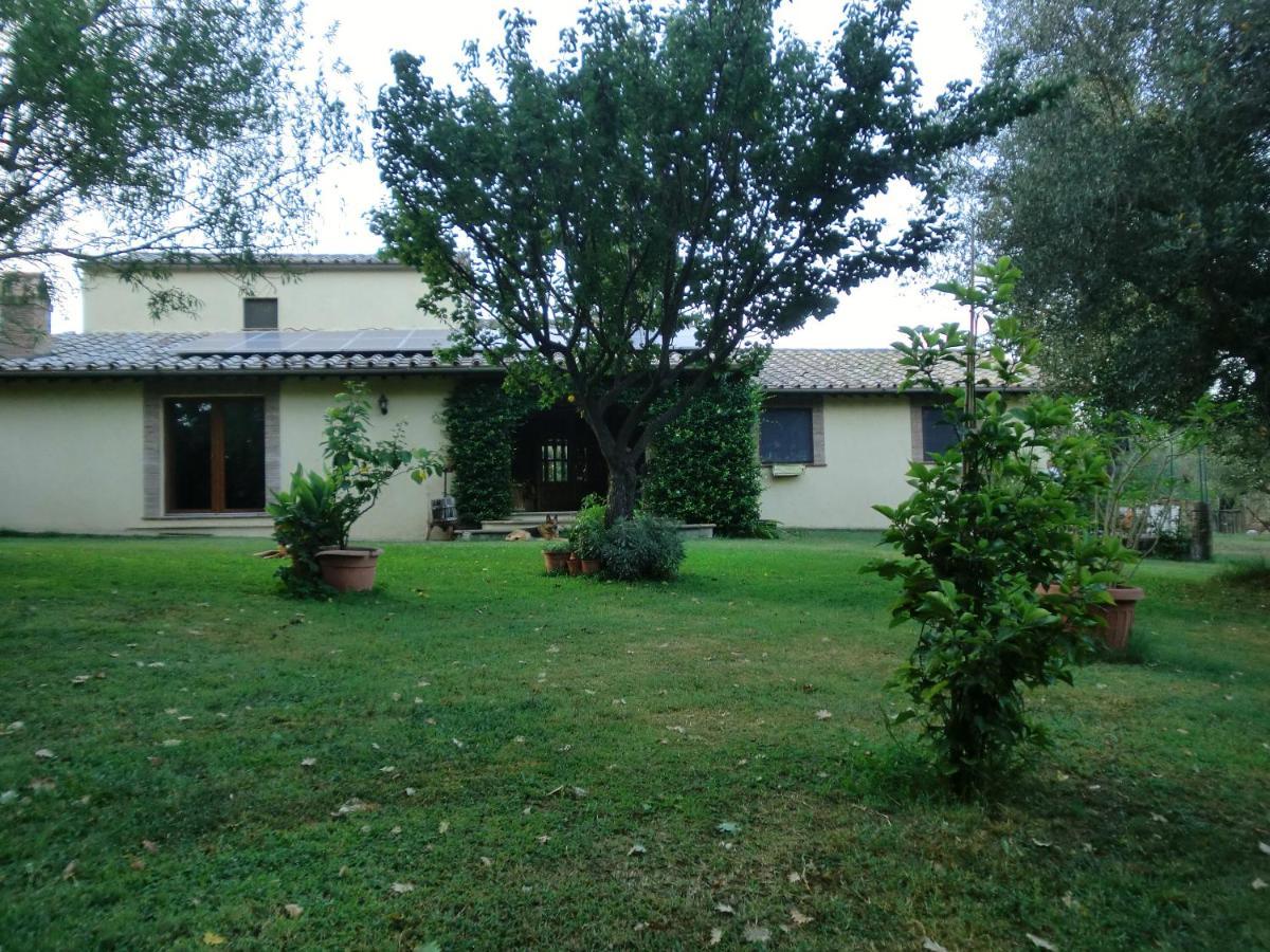 I Massi Bed & Breakfast San Michele in Teverina Exterior photo