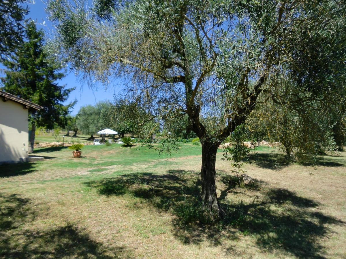 I Massi Bed & Breakfast San Michele in Teverina Exterior photo