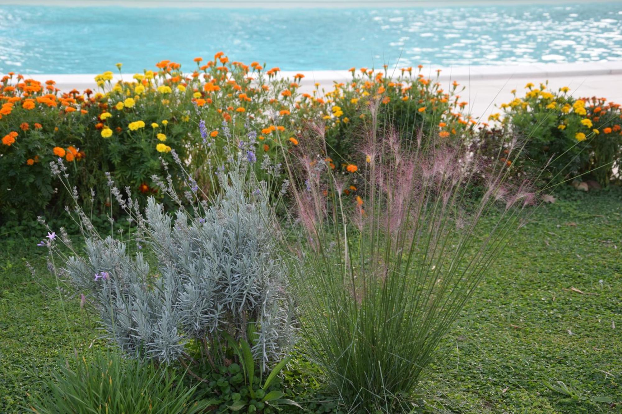 I Massi Bed & Breakfast San Michele in Teverina Exterior photo